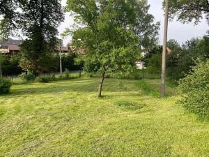 Prodej rodinného domu, Hranice, Dobrovského, 16 m2
