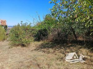 Prodej rodinného domu, Medovo, Bulharsko, 36 m2