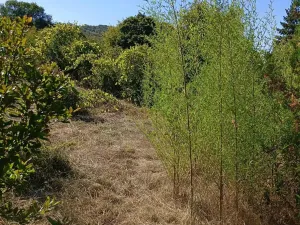 Prodej rodinného domu, Medovo, Bulharsko, 36 m2