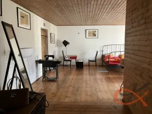 Prodej vícegeneračního domu, Čelechovice na Hané, 438 m2