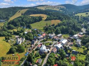 Prodej komerčního pozemku, Olešnice v Orlických horách, 2963 m2