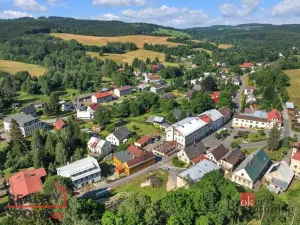 Prodej komerčního pozemku, Olešnice v Orlických horách, 2963 m2