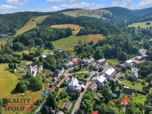 Prodej komerčního pozemku, Olešnice v Orlických horách, 2963 m2