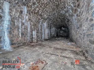 Prodej pozemku pro bydlení, Olešnice v Orlických horách, 2963 m2