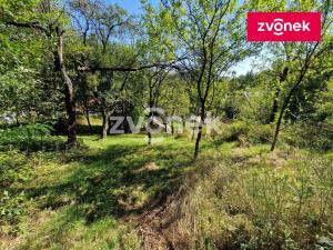 Prodej chalupy, Jankovice, 80 m2