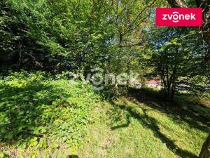 Prodej chalupy, Jankovice, 80 m2