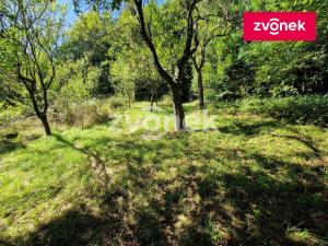 Prodej chalupy, Jankovice, 80 m2