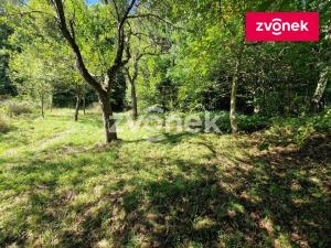 Prodej chalupy, Jankovice, 80 m2