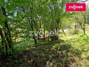 Prodej chalupy, Jankovice, 80 m2