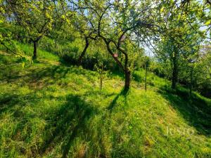 Prodej rodinného domu, Uherské Hradiště, U Cihelny, 246 m2