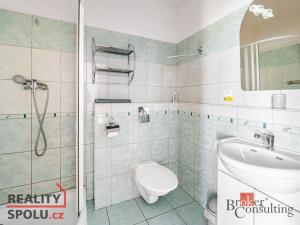 Prodej ubytování, Planá nad Lužnicí, Jabloňová, 400 m2