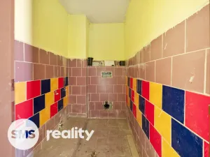 Prodej rodinného domu, Kojetín - Kojetín I-Město, Stružní, 228 m2