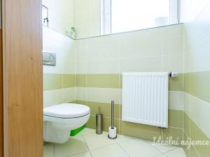 Pronájem bytu 1+kk, Praha - Hloubětín, Nademlejnská, 32 m2