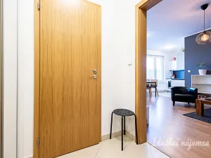 Pronájem bytu 1+kk, Praha - Hloubětín, Nademlejnská, 32 m2