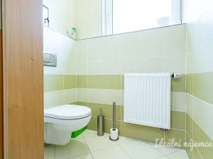 Pronájem bytu 1+kk, Praha - Hloubětín, Nademlejnská, 32 m2
