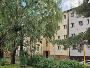 Prodej bytu 3+1, Ostrava - Hrabůvka, Provaznická, 54 m2