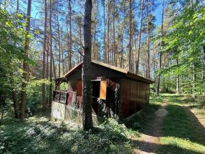 Prodej chaty, Křemže - Chlum, 30 m2