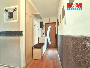 Prodej bytu 3+1, Týnec nad Sázavou, Jílovská, 59 m2