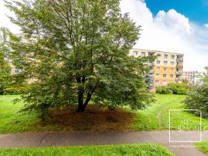 Pronájem bytu 2+1, Praha - Hostivař, Tenisová, 62 m2