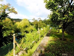 Prodej zahrady, Znojmo, 1116 m2