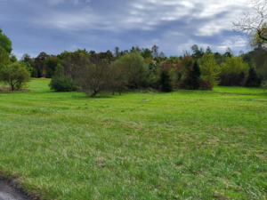 Prodej pozemku pro bydlení, Ostrava - Radvanice, Kopcovecká, 56151 m2