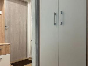 Pronájem bytu 1+kk, Luhačovice, 30 m2