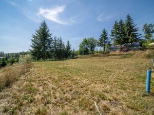 Prodej pozemku pro bydlení, Zábřeh - Dolní Bušínov, 829 m2