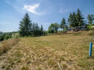 Prodej pozemku pro bydlení, Zábřeh - Dolní Bušínov, 829 m2