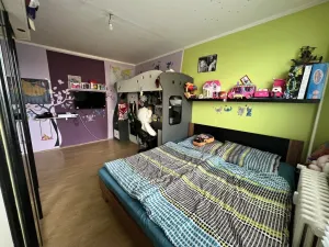 Prodej bytu 1+1, Pardubice - Zelené Předměstí, nábřeží Závodu míru, 40 m2