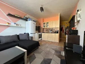 Prodej bytu 1+1, Pardubice - Zelené Předměstí, nábřeží Závodu míru, 40 m2