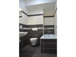 Pronájem bytu 1+kk, České Budějovice - České Budějovice 3, Nová, 33 m2