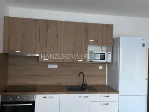 Pronájem bytu 1+kk, České Budějovice, O. Nedbala, 51 m2