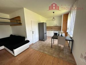 Pronájem bytu 1+kk, Vigantice, 39 m2