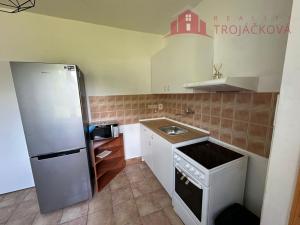 Pronájem bytu 1+kk, Vigantice, 39 m2