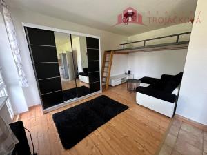 Pronájem bytu 1+kk, Vigantice, 39 m2