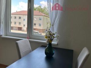 Pronájem bytu 1+kk, Vigantice, 39 m2