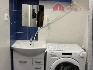 Pronájem bytu 1+kk, Vigantice, 39 m2