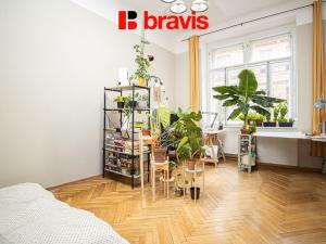 Pronájem bytu 5+1, Brno - Veveří, Jaselská, 165 m2