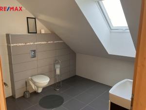 Prodej chalupy, Krahulov, 418 m2