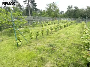 Prodej rodinného domu, Krahulov, 418 m2