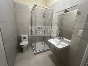 Pronájem bytu 1+kk, Praha - Vinohrady, Londýnská, 28 m2