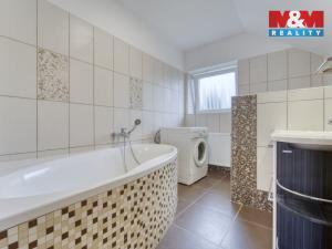 Pronájem rodinného domu, Zruč-Senec - Zruč, V loučce, 169 m2