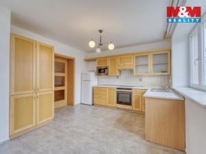 Pronájem rodinného domu, Zruč-Senec - Zruč, V loučce, 169 m2