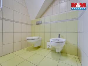 Pronájem rodinného domu, Zruč-Senec - Zruč, V loučce, 169 m2
