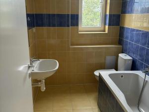 Pronájem bytu 1+1, Ostrava, Erbenova, 38 m2