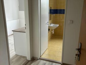 Pronájem bytu 1+1, Ostrava, Erbenova, 38 m2