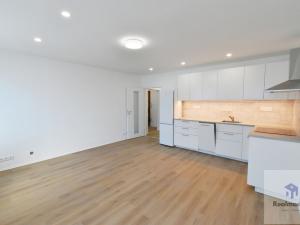 Pronájem bytu 1+1, Ústí nad Labem, Spartakiádní, 47 m2