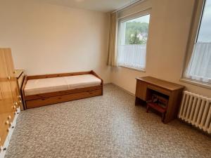 Pronájem bytu 2+1, Ústí nad Labem, Kamenná, 50 m2