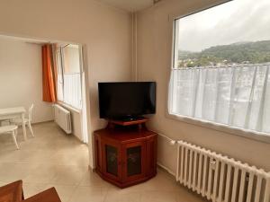 Pronájem bytu 2+1, Ústí nad Labem, Kamenná, 50 m2