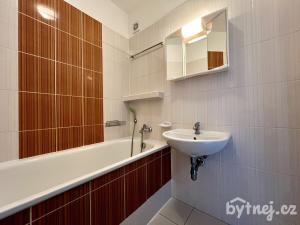 Pronájem bytu 1+1, Olomouc - Nové Sady, Družební, 36 m2